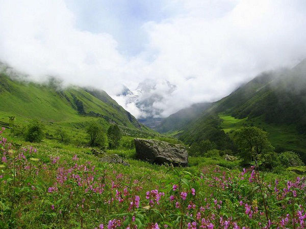 फूलों की घाटी, उत्तराखंड
