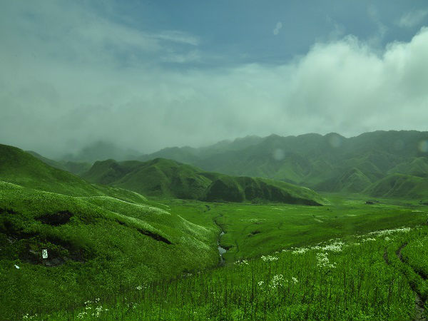 दजुको घाटी, नागालैंड