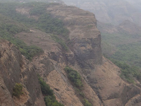 लायन पॉइंट