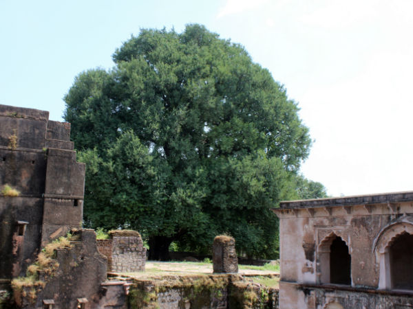 इस्लाम नगर किला