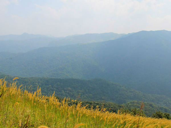 चिंतामणि