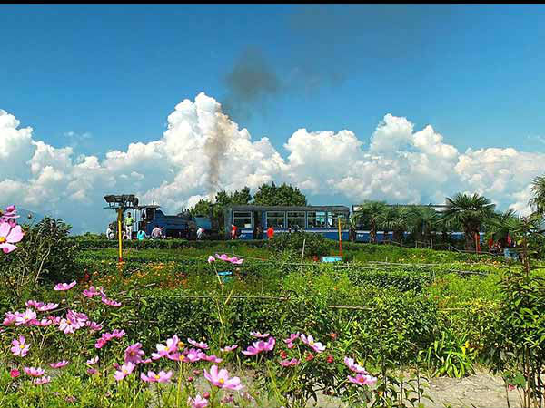 दार्जीलिंग, पश्चिम बंगाल