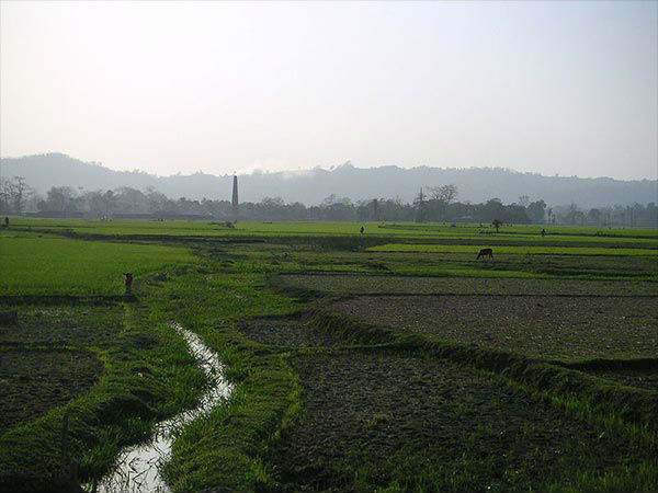 त्रिपुरा
