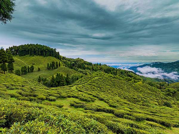 मिरिक, पश्चिम बंगाल