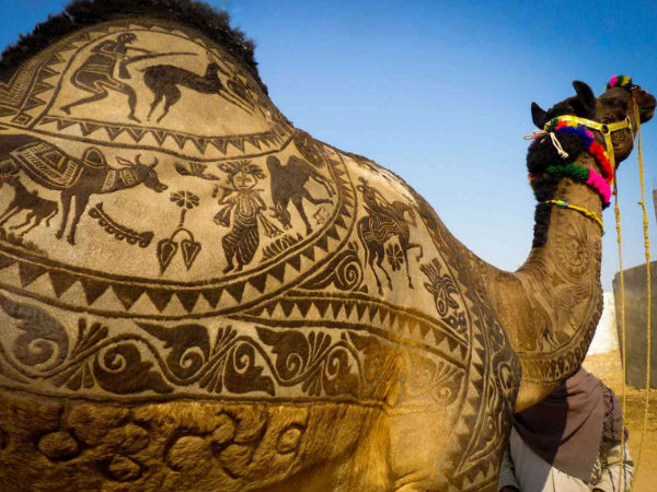 Camel Fair in Bikaner Camel Fair in Bikaner