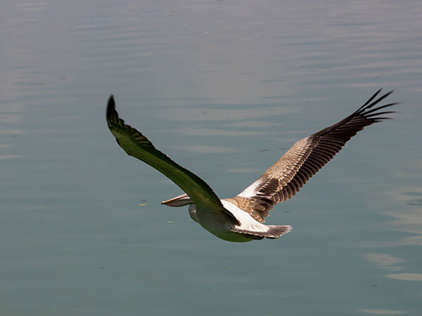 2. फोटोग्राफी