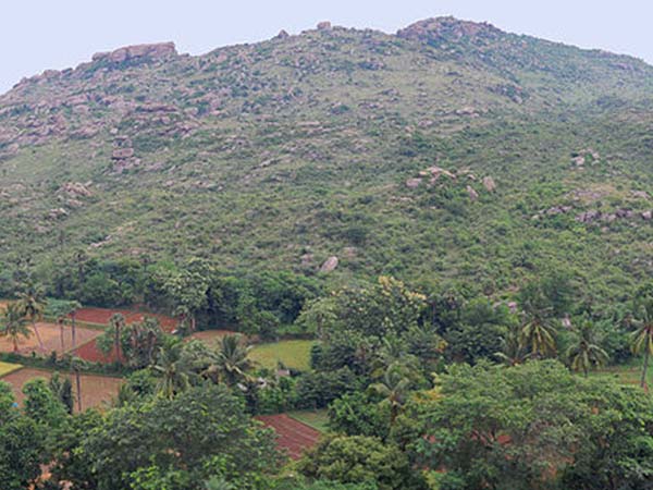 बालामाथी