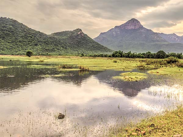 नागलापुरम हिल्स