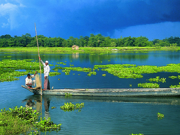 माजुली