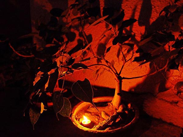 शनिचरा मंदिर मध्य प्रदेश