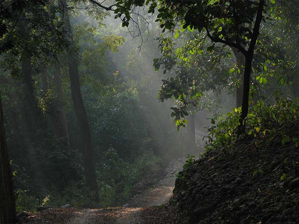 कैंप क्यारी (जिम कॉर्बेट)