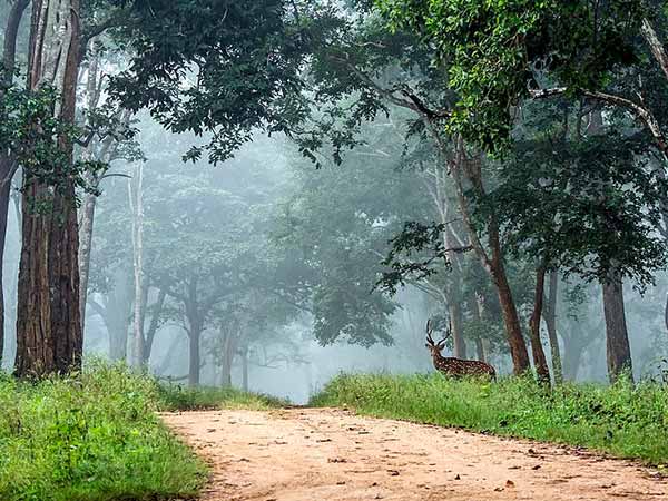 क्यों है आपके लिए खास