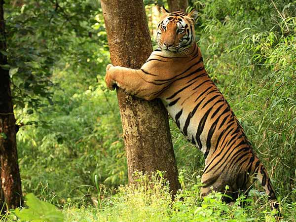 क्यों है आपके लिए खास