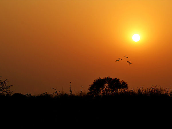 कब आयें निजामत इमामबाड़ा