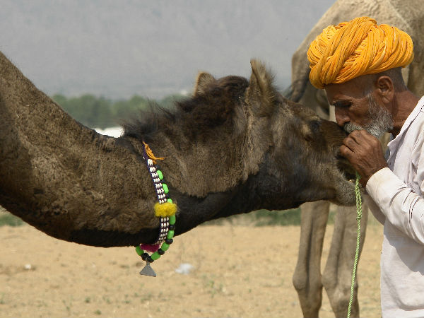 कार्तिक पूर्णिमा पर लगता है मेला
