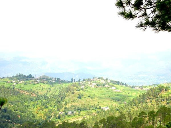 रानीखेत