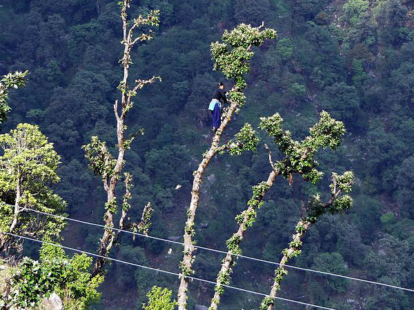 असकोट, उत्तराखंड