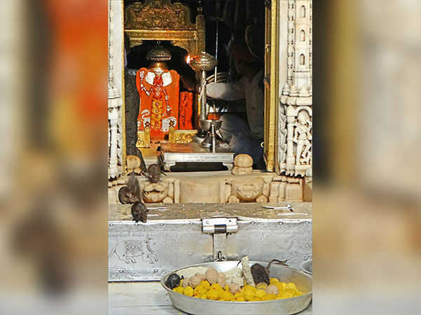करणी माता मंदिर, बीकानेर
