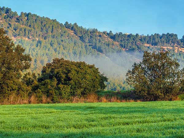 प्राइवेट एजेंसी के साथ एक करार