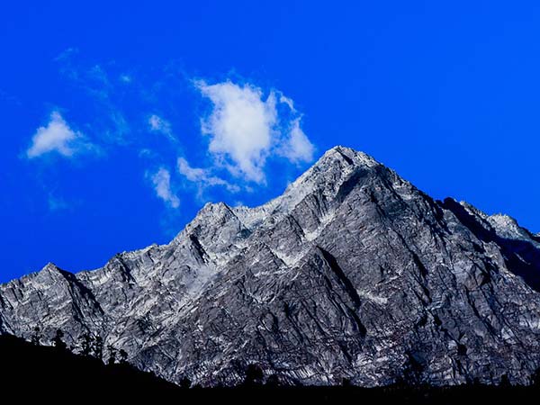 सोने-चांदी की बरसात