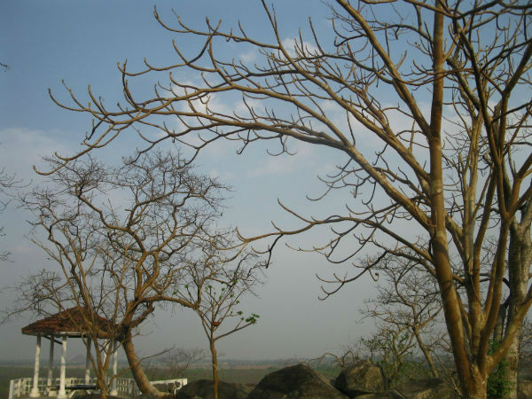 हजारीबाग़