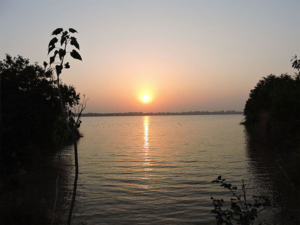 सुखना झील