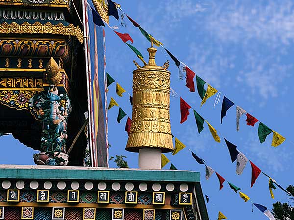 नामद्रोलिंग न्यिंगमापा मोनेस्ट्री