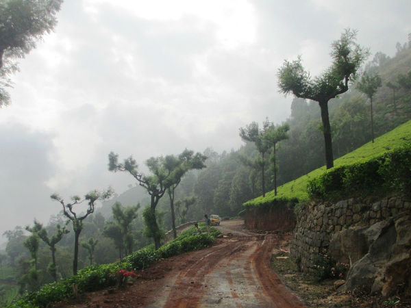 मट्टम