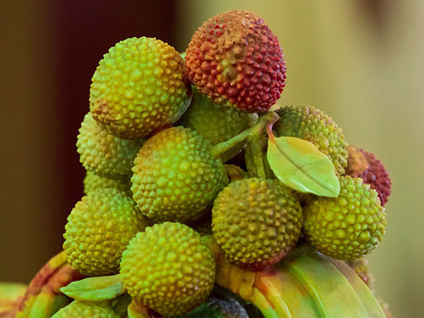 फल की पहचान सीमित