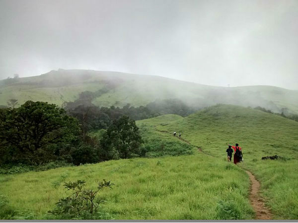 कोदाचद्री घूमे