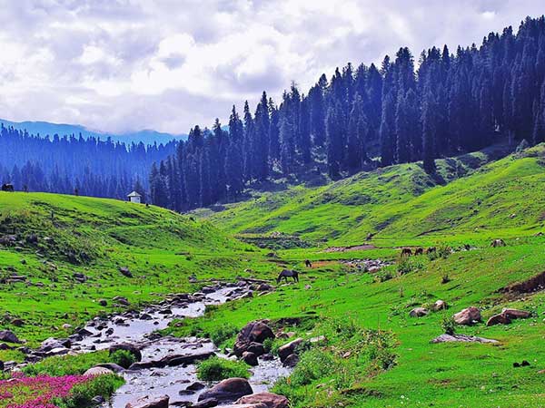 गुलमर्ग की सैर