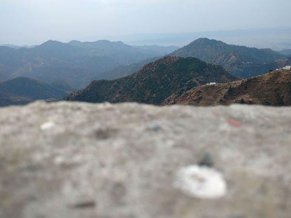 धनौल्टी