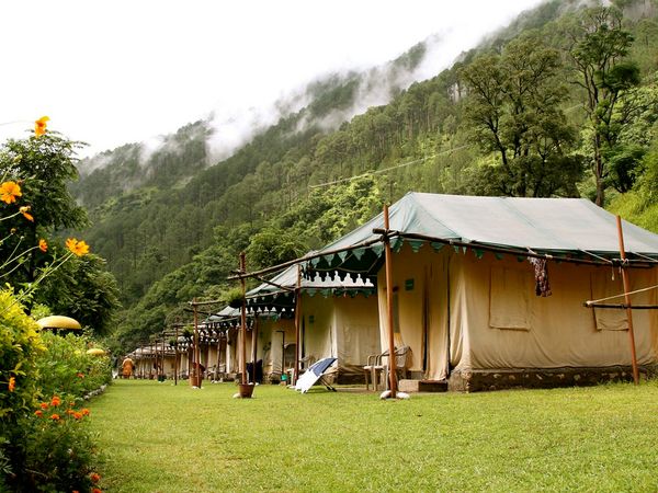 जो बनाते हैं हरसिल को खास