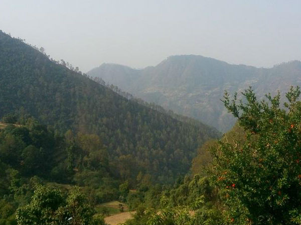 कैसे पहुंचे तांडी ?