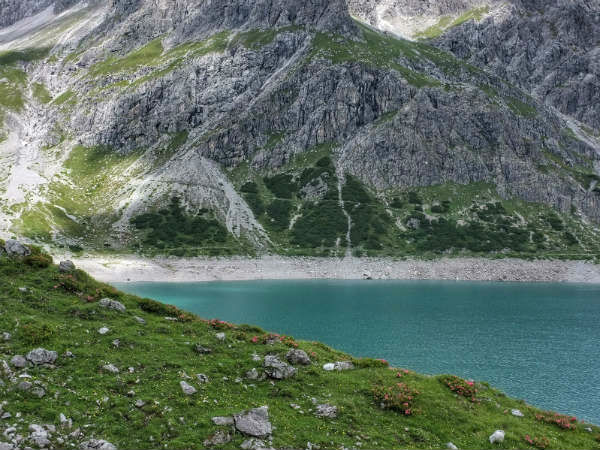क्या करें अहरबाल ?