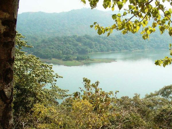 बोटिंग का मजा तुलसी झील में