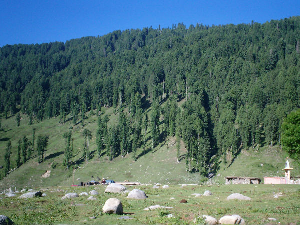 कैसे जायें कठुया