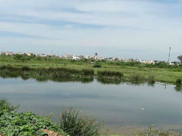 बोगाधि झील