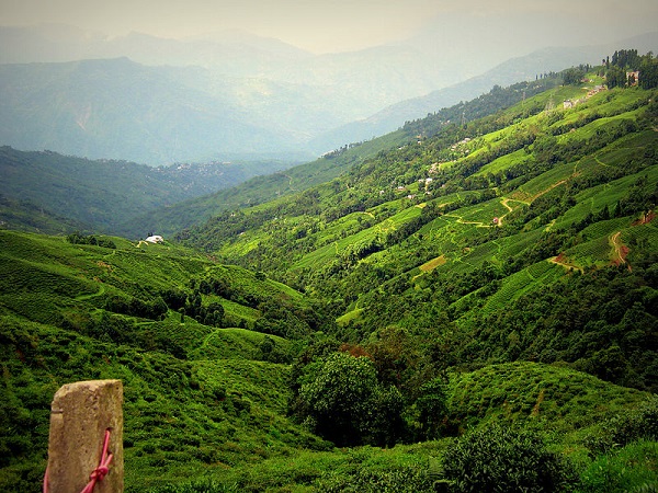 दार्जिलिंग
