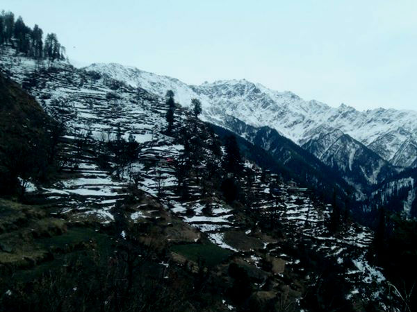 गांव में शराब-तम्बाखू वर्जित