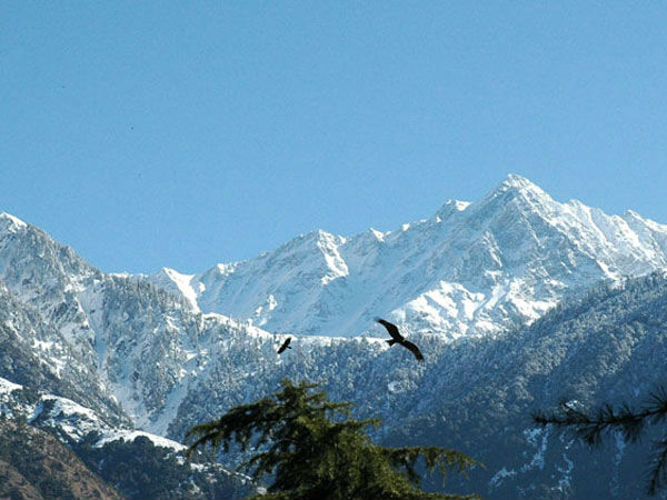हिमाचली खाने का ले स्वाद