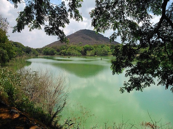 अरिगनर अन्ना जूलॉजिकल पार्क