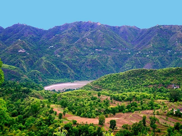 सोलन. हिमाचल प्रदेश