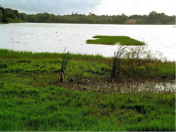 कुक्करहल्ली झील