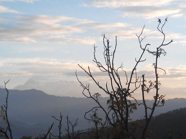 रानीखेत