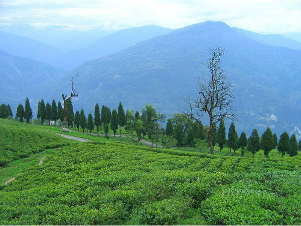 रवांग्ला