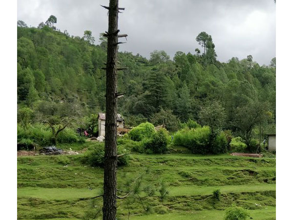 क्या करें