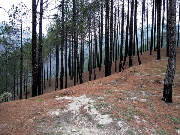 पक्षी और वन्य जीव विहार