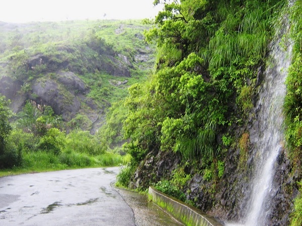 वागामोन