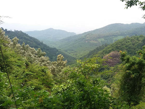 अंबानाद हिल्स